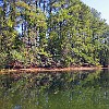 43Inf2011-10-29 13.33.54 : Lake Bastrop South Shore